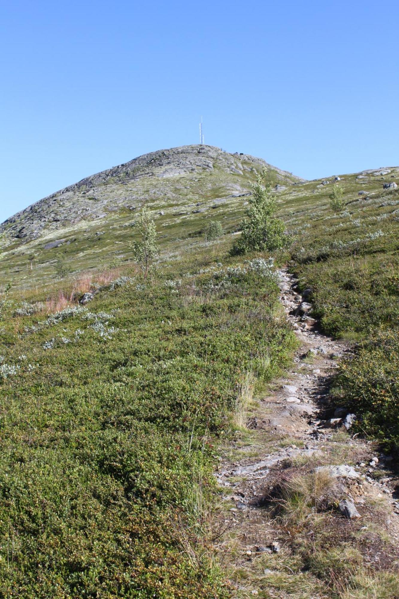 Jotunheimen Feriesenter Villa Heidal Luaran gambar